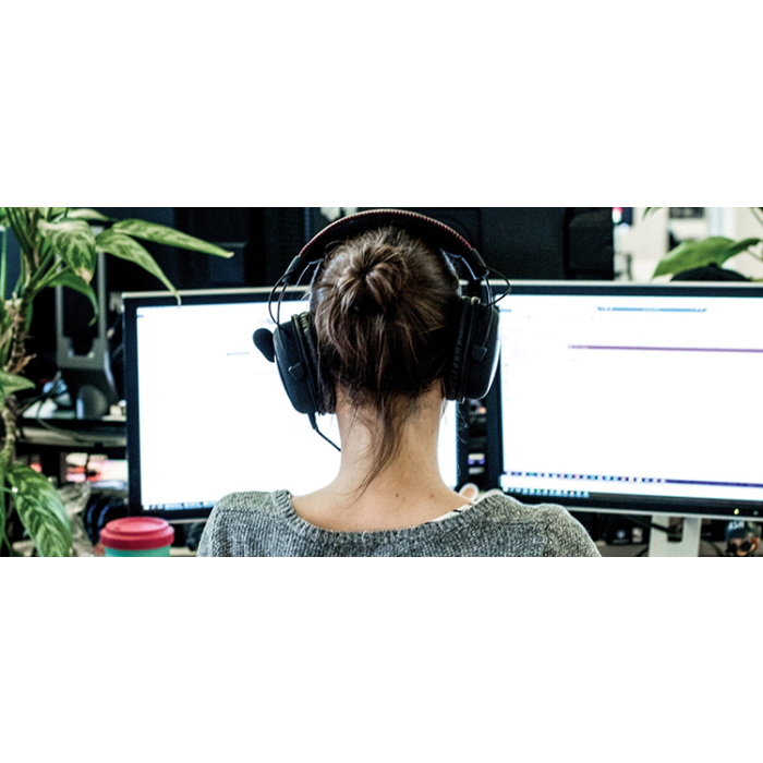 Visual Studio Professional 订阅