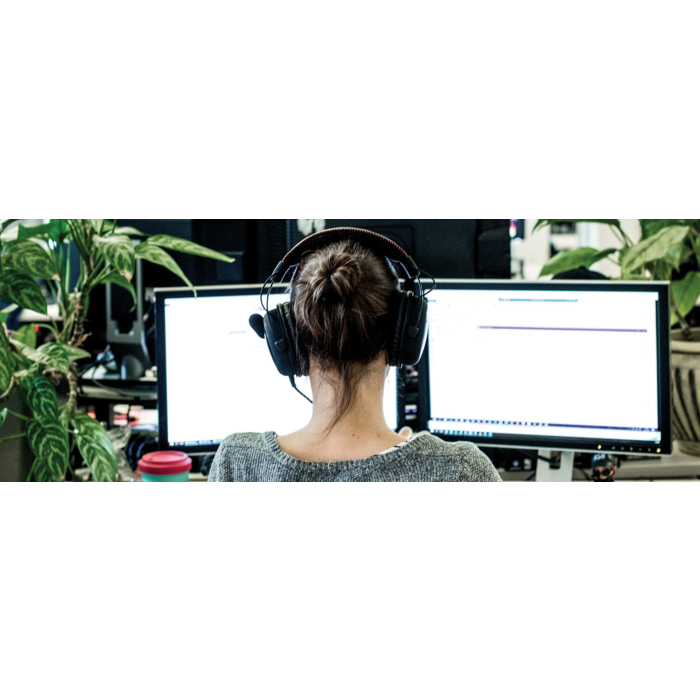 Visual Studio Professional 订阅