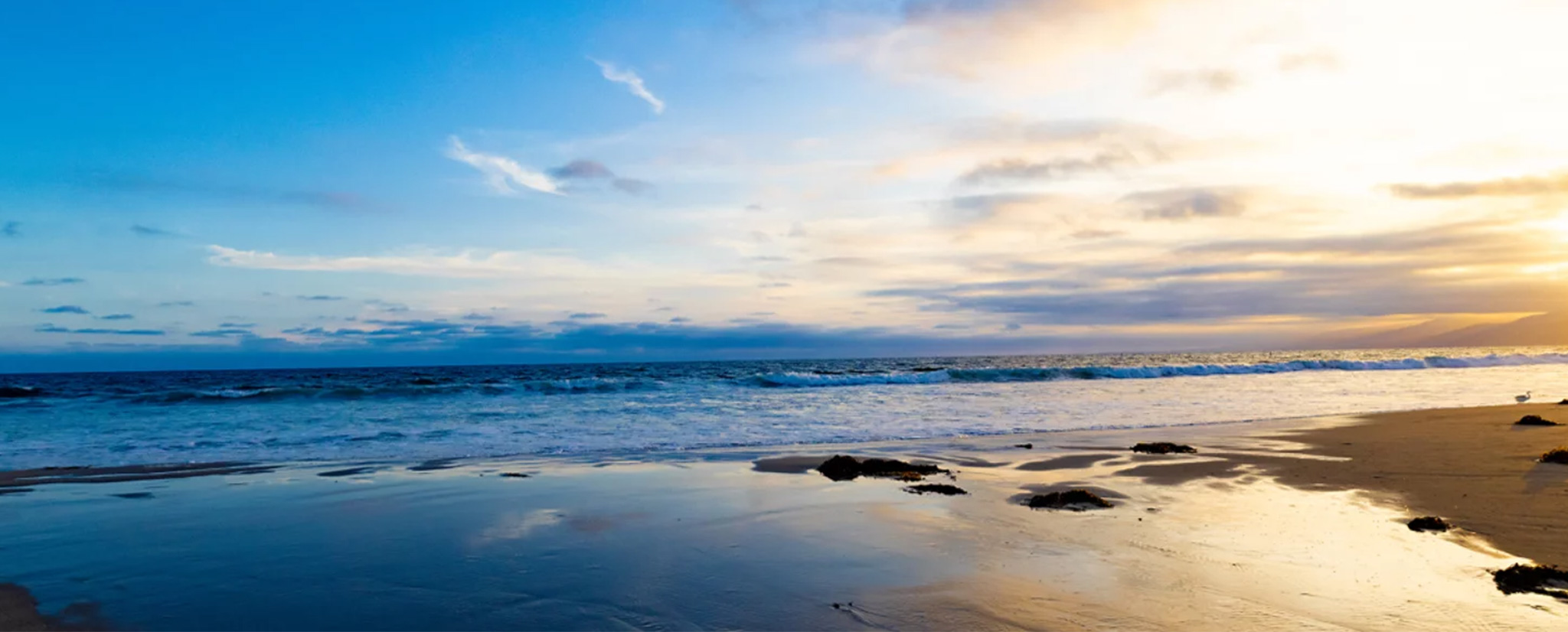 连续画面呈现一个塑料瓶，再到塑料碎片，再到塑料颗粒，显示了流向海洋的塑料的回收过程。