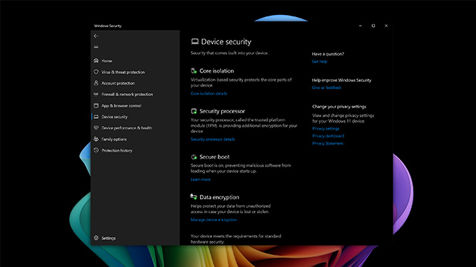 Surface 设备上 Windows 11 专业版安全性菜单的特写视图。